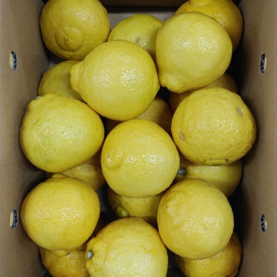 広島県産　はるかの画像