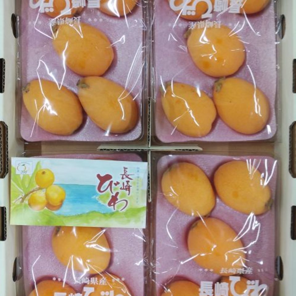 長崎県産　びわの画像