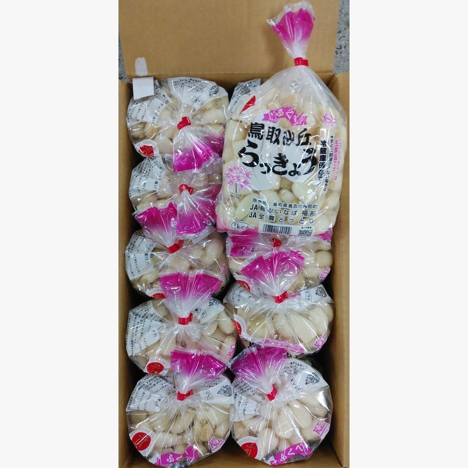 鳥取県産 らっきょう | 旬の野菜 | 旬の野菜・果物 | 野菜と果物を広島