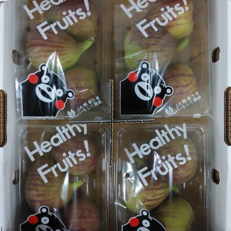 熊本県産　宇城　いちじく（ドーフィン）の画像