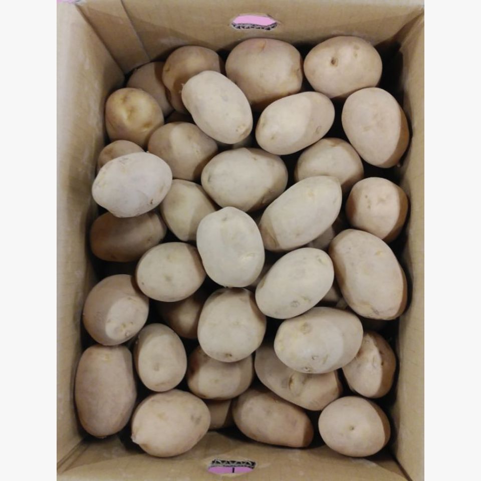 広島県安芸津産 馬鈴薯 旬の野菜 旬の野菜 果物 野菜と果物を広島の市場より食卓へ 広印広島青果株式会社