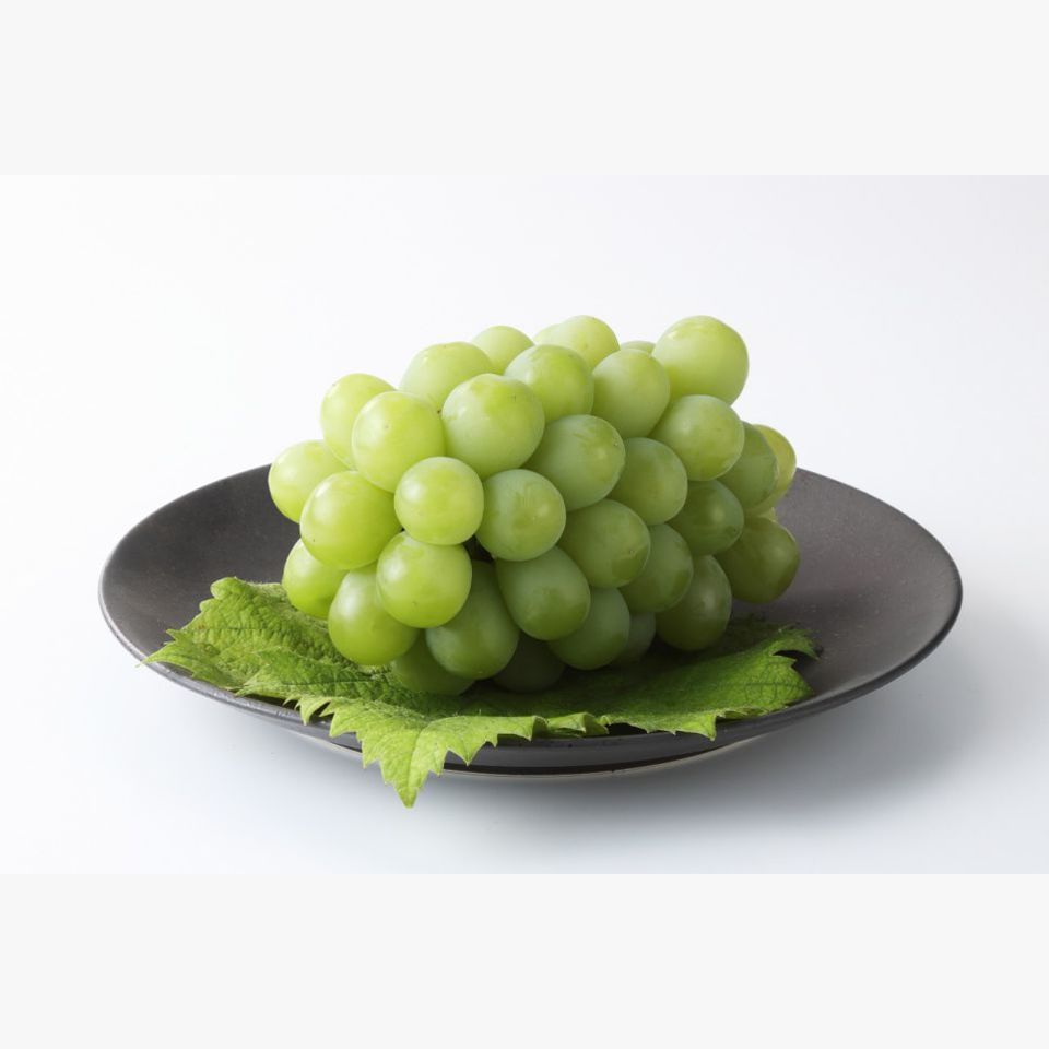 岡山県産 マスカット オブ アレキサンドリア 旬の果物 旬の野菜 果物 野菜と果物を広島の市場より食卓へ 広印広島青果株式会社